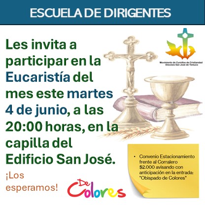 Lee más sobre el artículo Escuela de Dirigentes – Invitación a Eucaristia 04-06